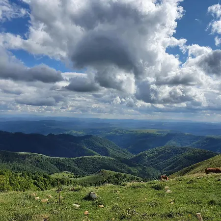 Case de vacanță Belic Golija *