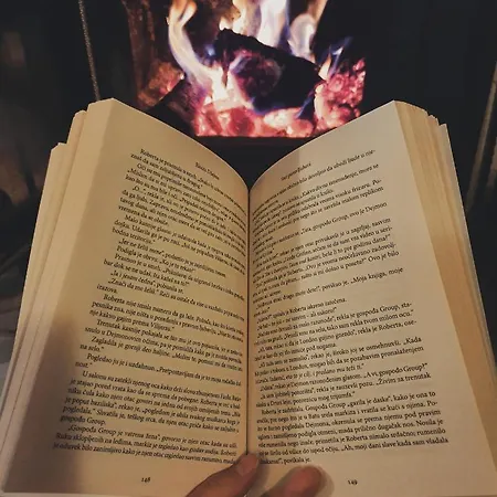 Case de vacanță Belic Golija *