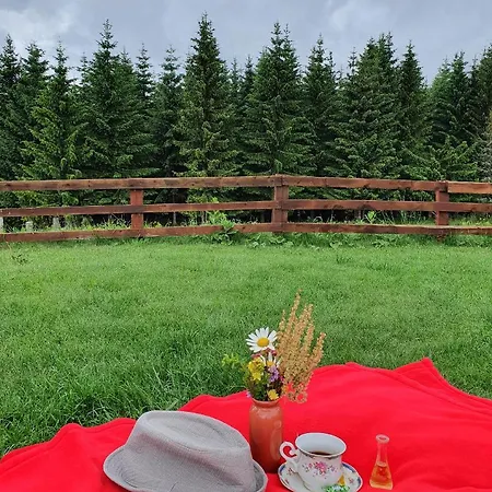 Case de vacanță Belic Golija Radaljica