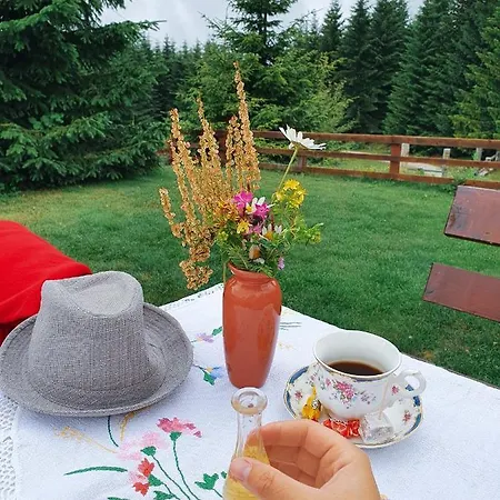 Belic Golija Tatil Evi Radaljica
