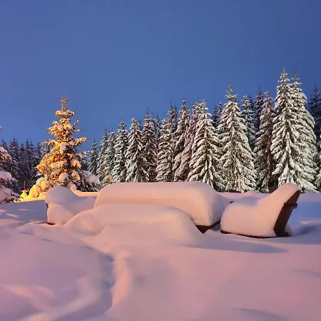 Belic Golija Case de vacanță