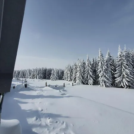 Belic Golija Case de vacanță *