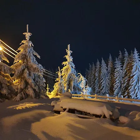 Case de vacanță Belic Golija Radaljica