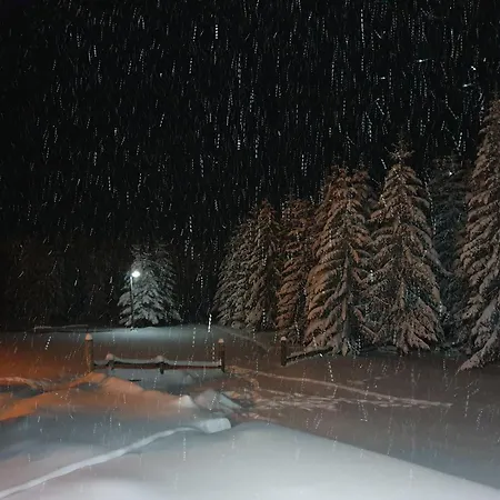 Case de vacanță Belic Golija Radaljica