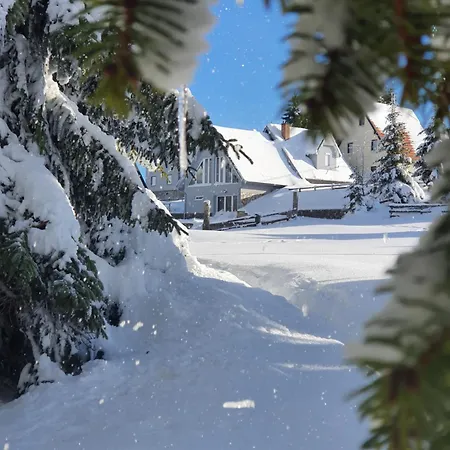 Belic Golija Radaljica