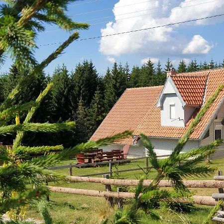 Belic Golija Case de vacanță Radaljica