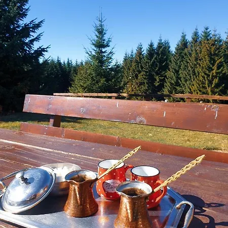 Belic Golija Tatil Evi *