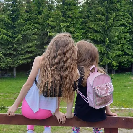 Case de vacanță Belic Golija *