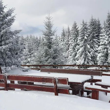 Belic Golija Case de vacanță Radaljica