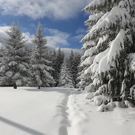 Belic Golija Case de vacanță Radaljica