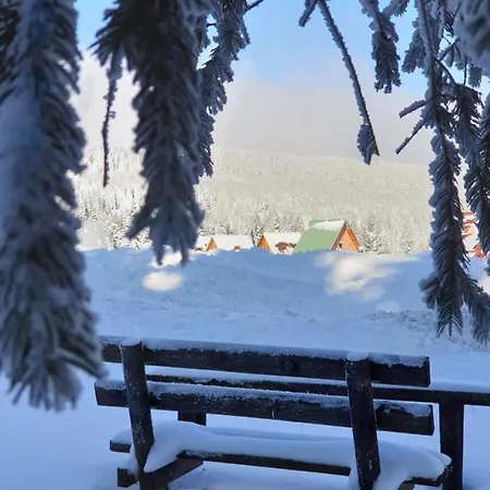 Belic Golija Vakantiehuis Radaljica