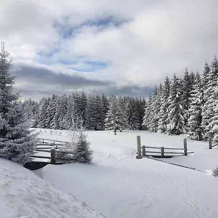 Belic Golija Radaljica