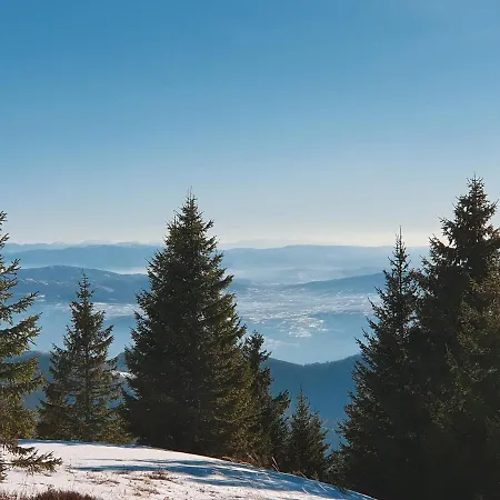 Belic Golija Case de vacanță