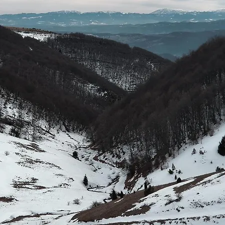 Case de vacanță Belic Golija *