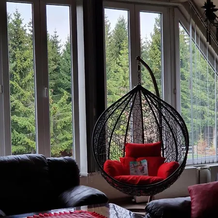 Case de vacanță Belic Golija