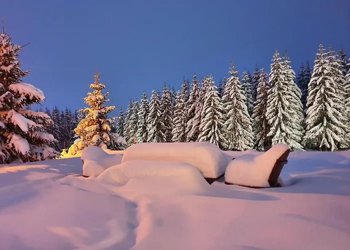 Belic Golija בית נופש