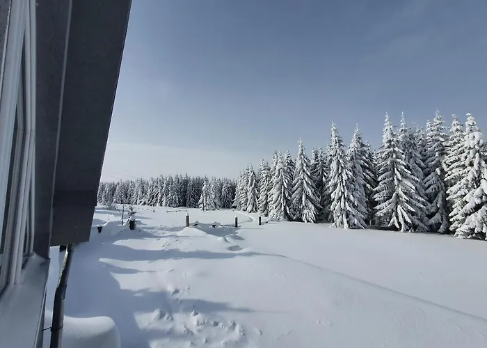 Belic Golija בית נופש *