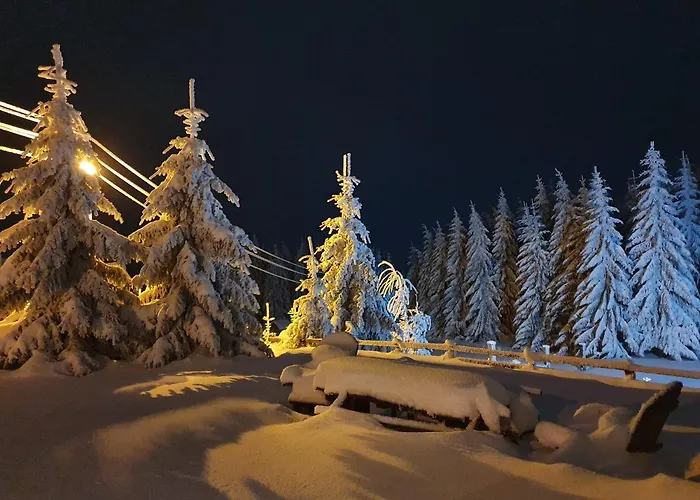 בית נופש Belic Golija Radaljica