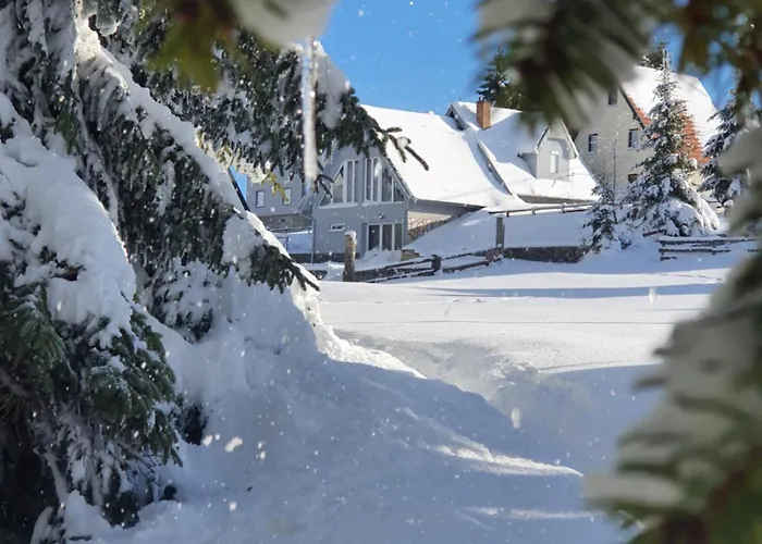 Belic Golija Radaljica