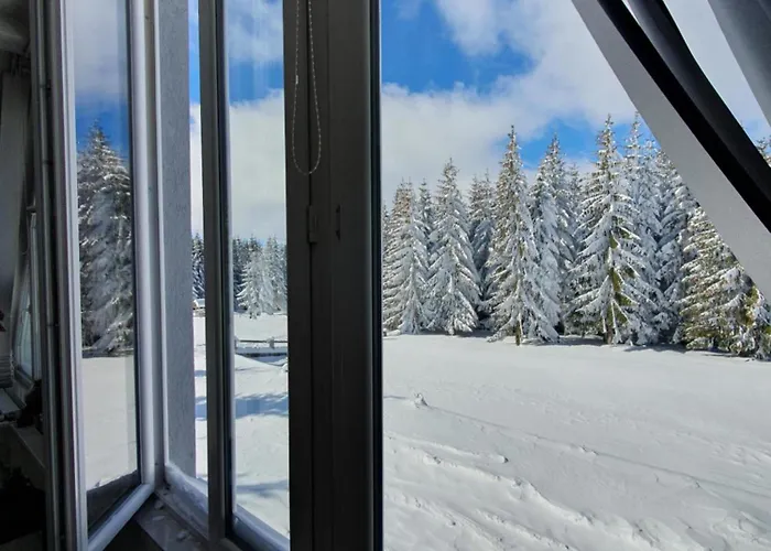 Belic Golija בית נופש Radaljica