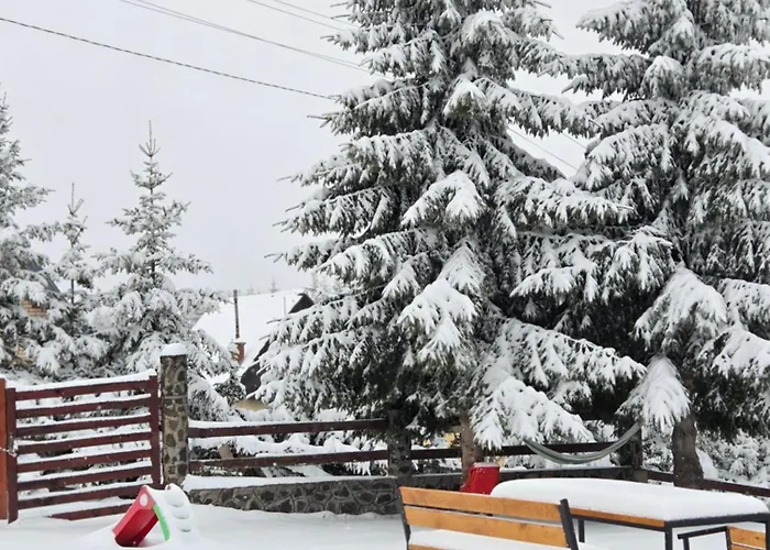 Belic Golija Radaljica