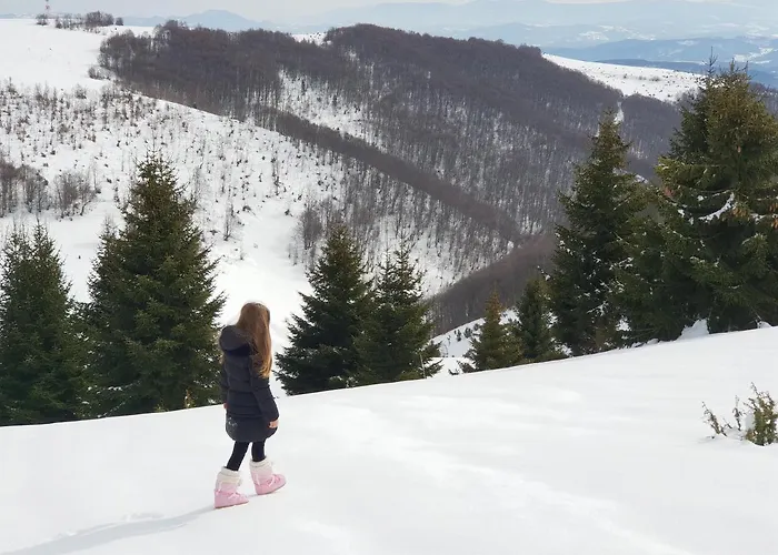 בית נופש Belic Golija *