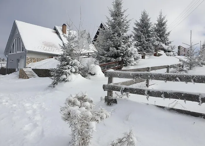 Belic Golija בית נופש Radaljica