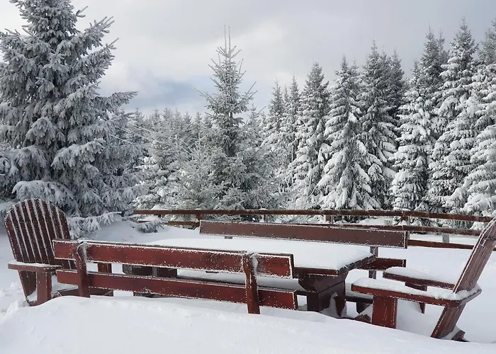 Belic Golija בית נופש Radaljica