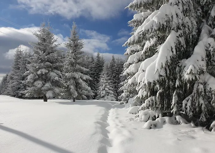 Belic Golija בית נופש Radaljica