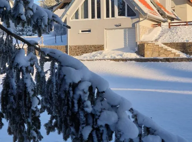 Belic Golija Radaljica