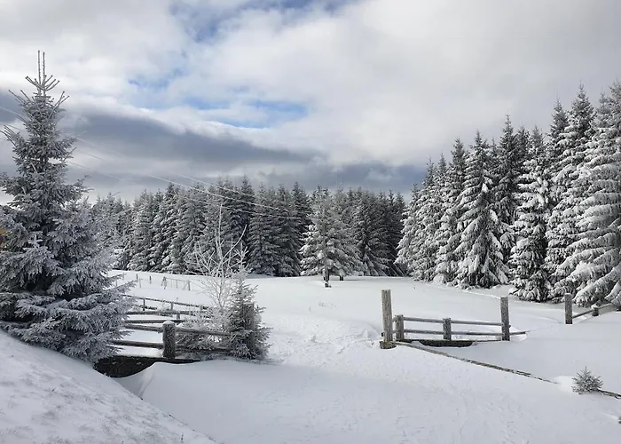 Belic Golija Radaljica