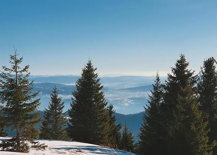 Belic Golija בית נופש