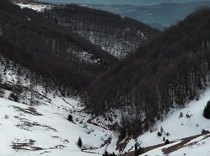 בית נופש Belic Golija *